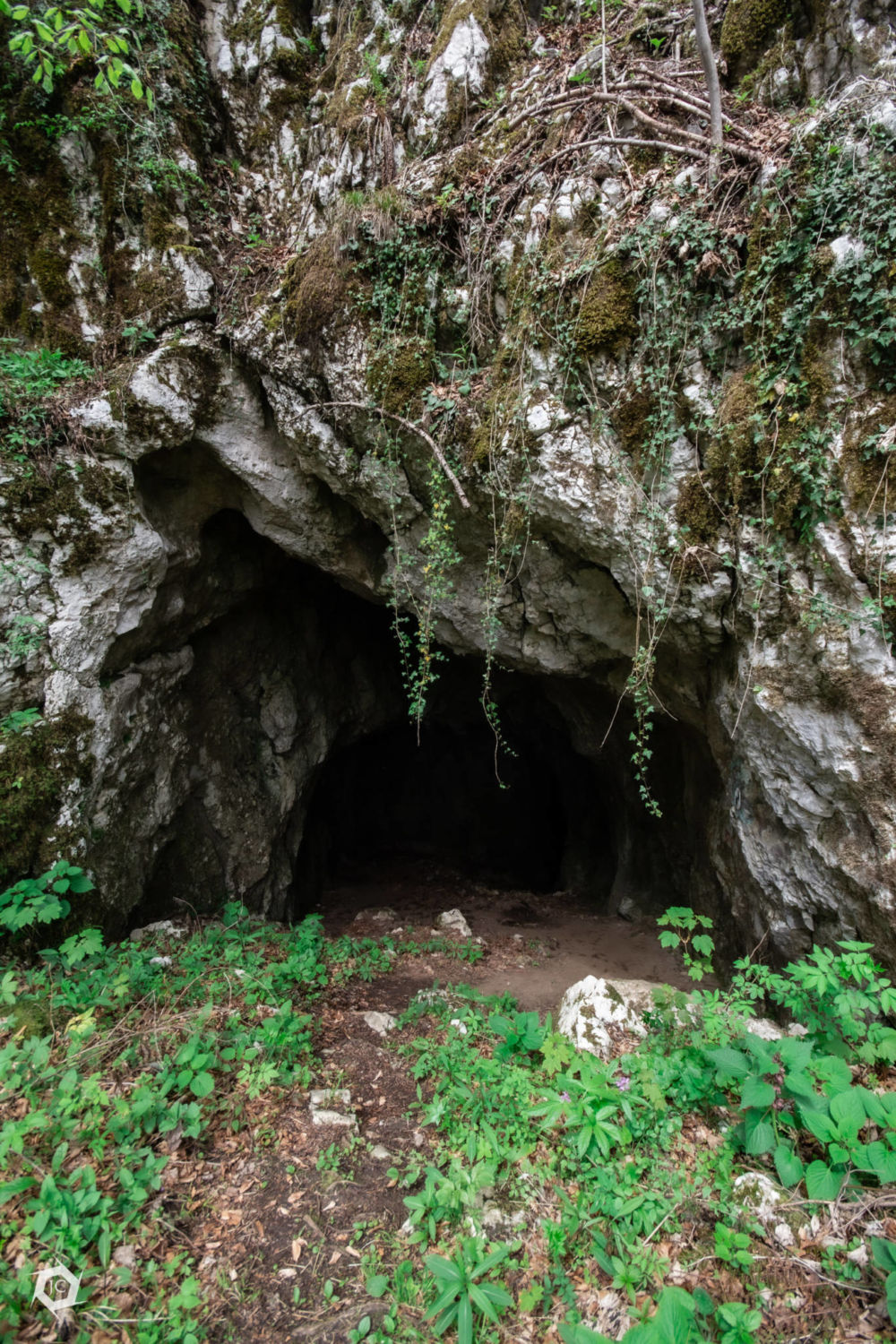 Severni vhod v Skedneno jamo